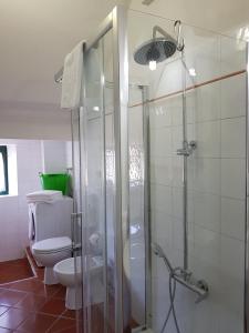 切齐纳码头Agriturismo Bella Valle的一间带玻璃淋浴和卫生间的浴室