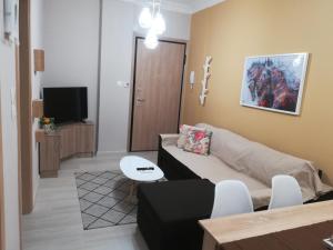 塞萨洛尼基Central Apartment的带沙发和电视的客厅