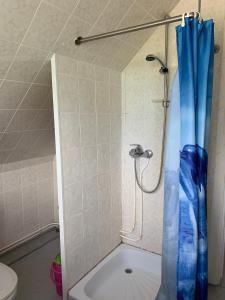 PuskuTooraku Turismitalu的浴室内配有蓝色淋浴帘
