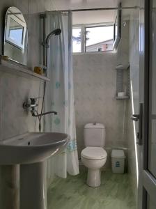 乌雷基Green house Ureki的一间带水槽和卫生间的浴室以及窗户。