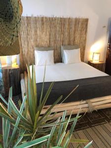 大加那利岛拉斯帕尔马斯Cactus Host的一间卧室配有床和植物