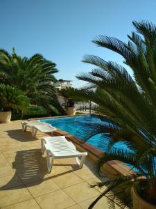 索契Vekar Guest House的棕榈树旁的游泳池,有两把白色长椅