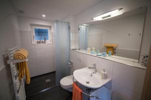 Hohfluh贝格兹小木屋酒店的一间带水槽、卫生间和镜子的浴室
