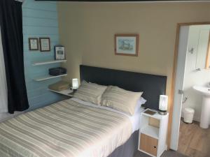 Anakiwa阿纳基瓦401宾馆的一间卧室配有床和水槽