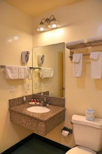 帕萨迪纳帕萨迪纳特阿维洛奇森特罗酒店的一间带水槽、卫生间和镜子的浴室