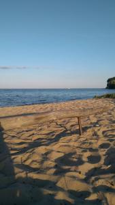 DemidovГостевой таунхаус的木凳坐在海滩上靠近水面