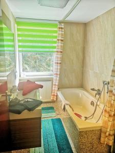 瓦门施泰纳赫森林小屋膳食酒店的带浴缸和窗户的浴室