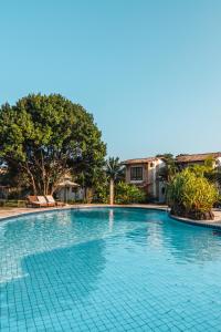 皮帕瓦兰达斯月德琵琶酒店的一个种有树木的大型蓝色游泳池