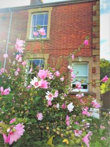 布里德波特Bridport Garden Suite的砖楼前的粉红色花丛