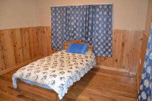 帕罗Yangkey Villa的一间卧室配有一张带蓝色枕头的床