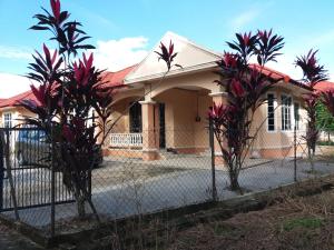 丹那美拉Seri Baqti Homestay的围栏前有棕榈树的房子