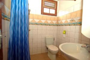 勒罗贝尔chez Manu的浴室设有卫生间、水槽和蓝色的浴帘