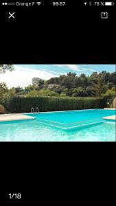 尼斯La Madonette的蓝色游泳池的照片