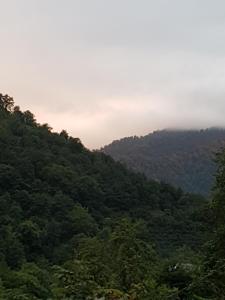 山景或在旅馆看到的山景