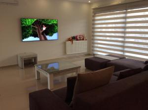 法马古斯塔Salamis Park的客厅配有沙发和墙上的电视