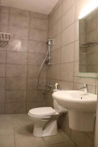 瓦迪穆萨Nomads Hotel Petra的一间带卫生间和水槽的浴室