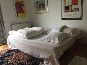 奥本罗Aabenraa Bed的一张床上的枕头