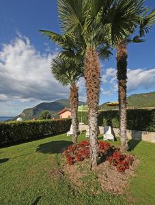 提尼亚类Residence Primera Rompala, GTSGroup的两棵棕榈树和院子里的鲜花