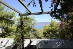 伊兹拉Pine Trees and Sea View Houses in Hydra - Daphne, Chloe, Myrto, Eleni的从房子后院俯瞰水面的景色