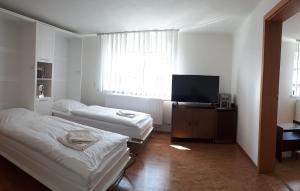 布雷兹诺Brezno - 2 izbový apartmán的客房设有两张床和一台平面电视。