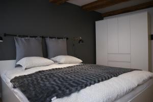 托伦Apartament na starówce Toruń的一间卧室配有一张大床和两个枕头