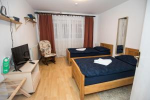 Ždraloviapartman tušek-Bjelovar的一间卧室配有两张床、一台电视和一张书桌