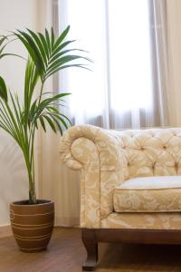 巴塞罗那卓越旅馆的带沙发和盆栽植物的客厅