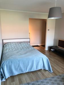 派德1-Bedroom apartment in city centre的一间卧室配有一张带蓝色毯子的床