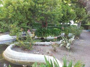 科维良卡萨杜瑞弗希奥公寓的一座花园,花园内种植了池塘和许多植物