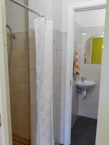 VišķiVišķezers的浴室配有淋浴帘和盥洗盆。