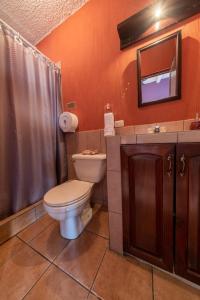克萨尔特南戈7 orejas的一间带卫生间、水槽和镜子的浴室