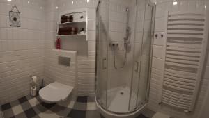 弗罗茨瓦夫Apartament Nad Starą Odrą的一间带玻璃淋浴和卫生间的浴室