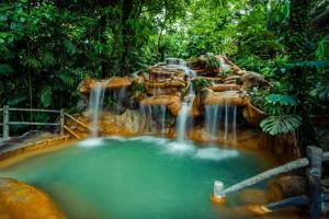 福尔图纳阿雷纳尔温泉度假酒店及Spa的丛林中的瀑布,有池水