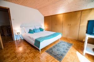LjubnoHoliday Home Mountain View的一间带大床和电视的卧室