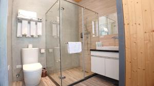 花莲市树の行旅(树的行旅)的一间带卫生间和玻璃淋浴间的浴室