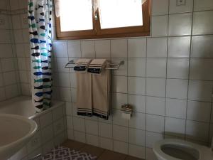 艾根塔尔默梅里木屋酒店的一间带水槽和卫生间的浴室以及窗户。