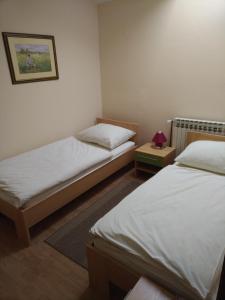 NašicePansion Ribnjak的卧室配有两张床,墙上挂着一幅画