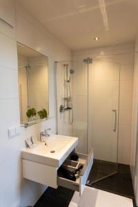 格拉茨TT-ROOMS - kontaktlos mit Self Check-in的一间带水槽和玻璃淋浴的浴室