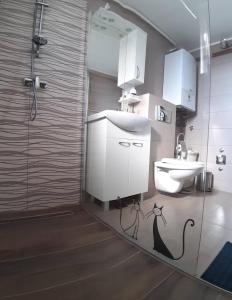 达鲁瓦尔Studio Apartman Ždral的带淋浴、盥洗盆和卫生间的浴室