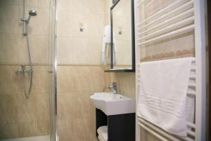 锡比乌斯蒂法尼酒店的一间带水槽和淋浴的浴室