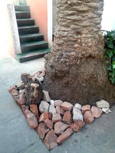 库拉布罗切罗镇时凯娜宾馆的树底周围的一堆岩石