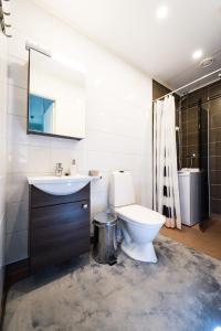 瓦萨AinaBnb - Residence Kappsäcken的一间带卫生间、水槽和镜子的浴室