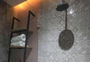 科隆Zenvea Hotel的配有带雕像的淋浴的浴室