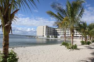 大洋城公主湾海滩酒​​店的棕榈树和水的海滩上的酒店
