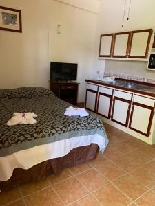 库尔克岛Panchos Villas的一间卧室配有一张床和一台平面电视
