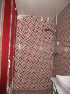 QuintinChez Catie的一间带淋浴的浴室和红色瓷砖墙