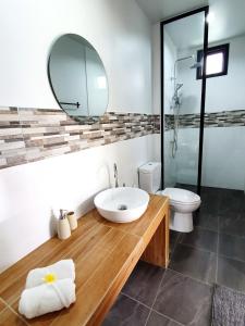 查龙Coconut Wells Phuket的一间带水槽、卫生间和镜子的浴室
