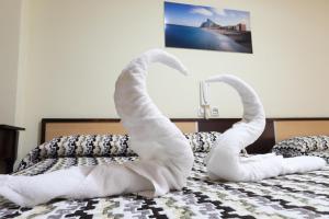 拉利内阿-德拉康塞普西翁拉坎帕纳旅馆的床上一双天鹅毛巾