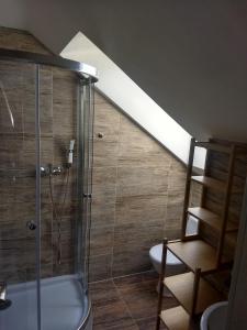 里托斯基挪威克Apartmány Máša的带淋浴、卫生间和楼梯的浴室