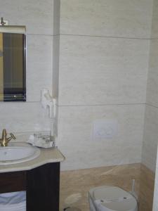 蒂米什瓦拉皇家城堡酒店的一间带水槽和卫生间的浴室